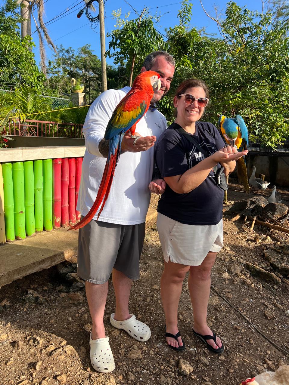 Parrot Experience
